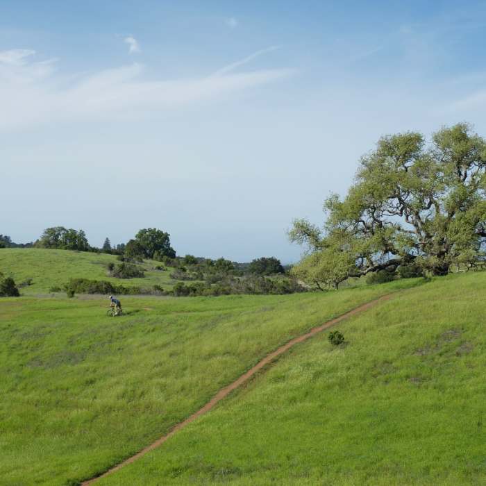 Near Bowl Loop