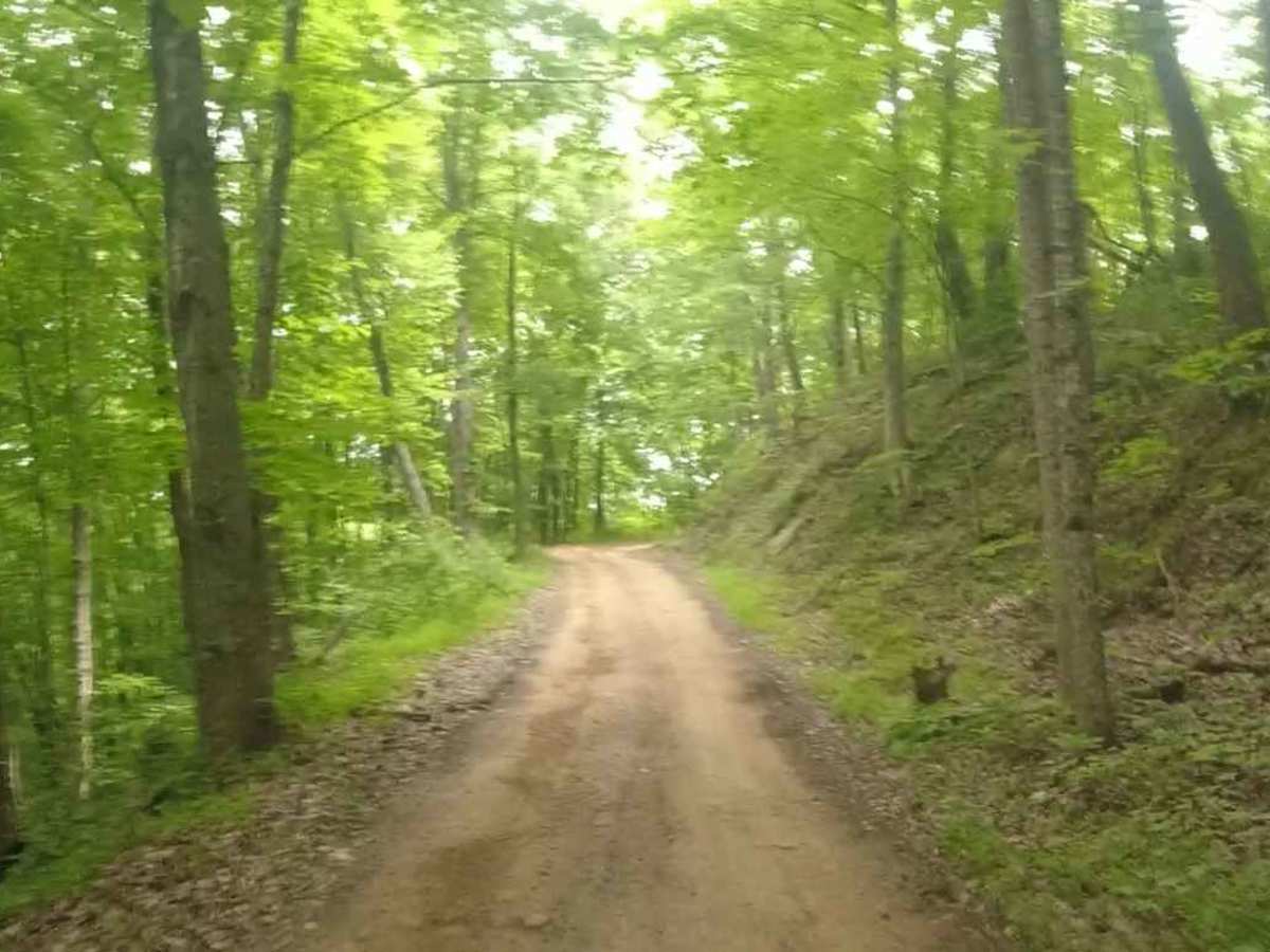 Honey Trace Hill photo 2