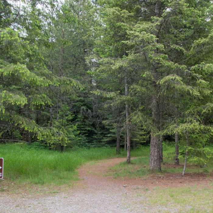 Near Highpoint Trail