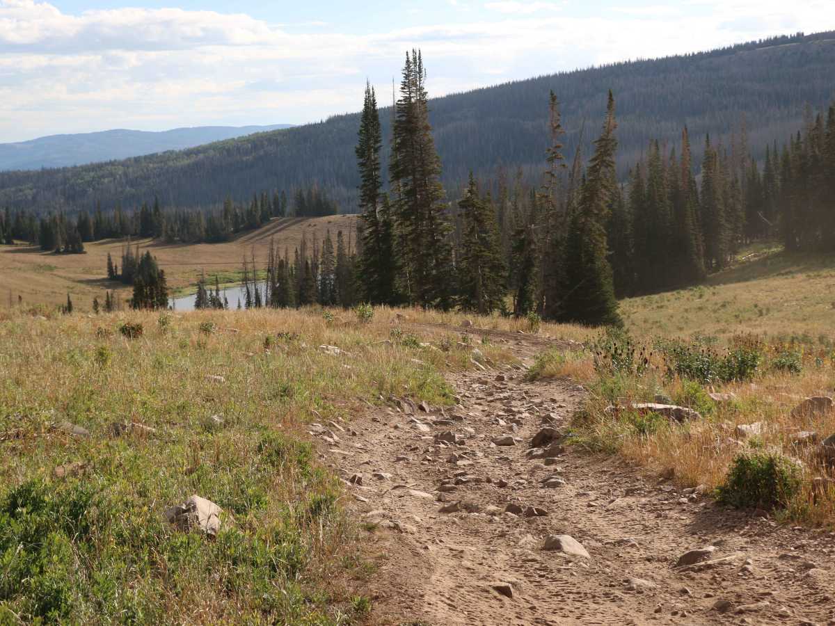 Moffit Pass - FS 80135 trail photo