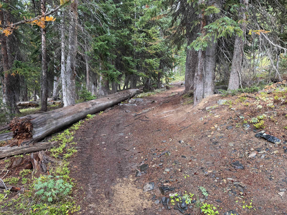 Mount Yeckel photo 2