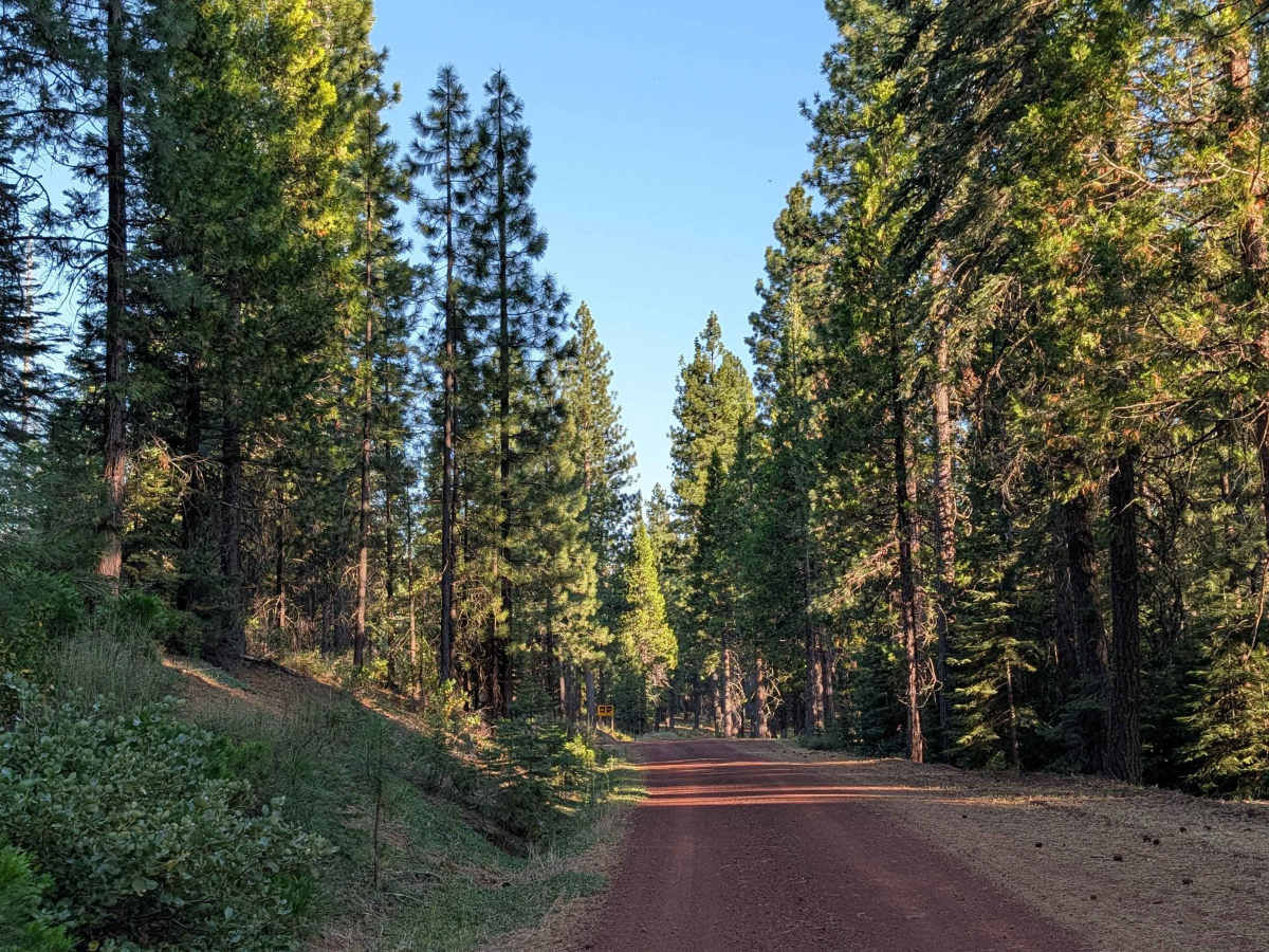 Porcupine Butte North - FS 41N36 trail photo