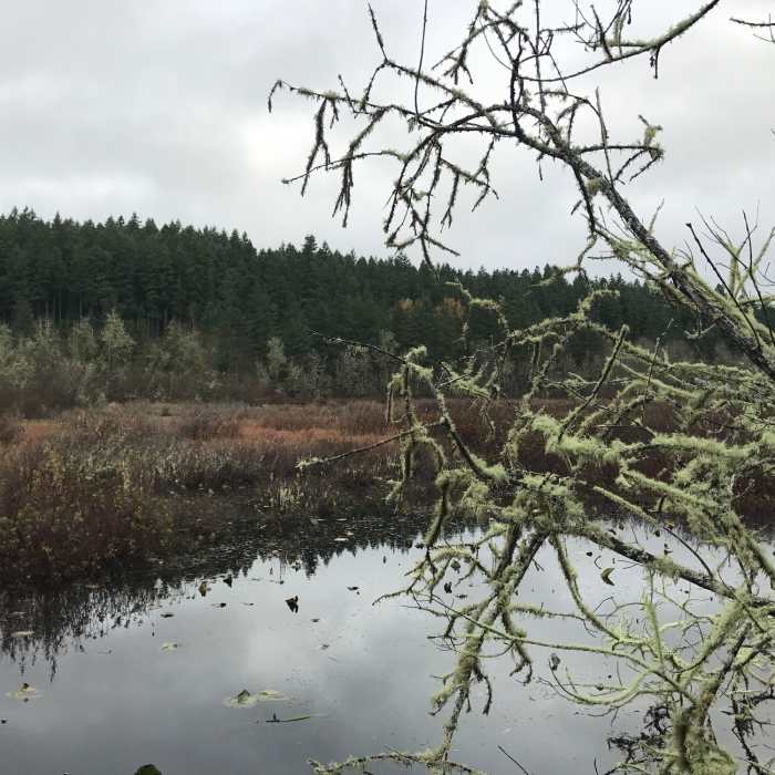 Near Silver Lake Wetland Haven Trail
