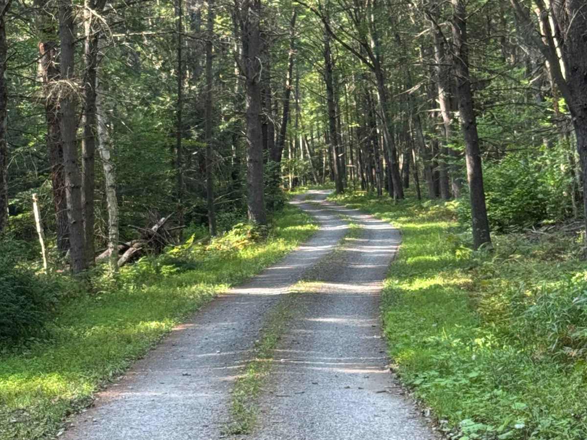 Pine Run Road photo 2