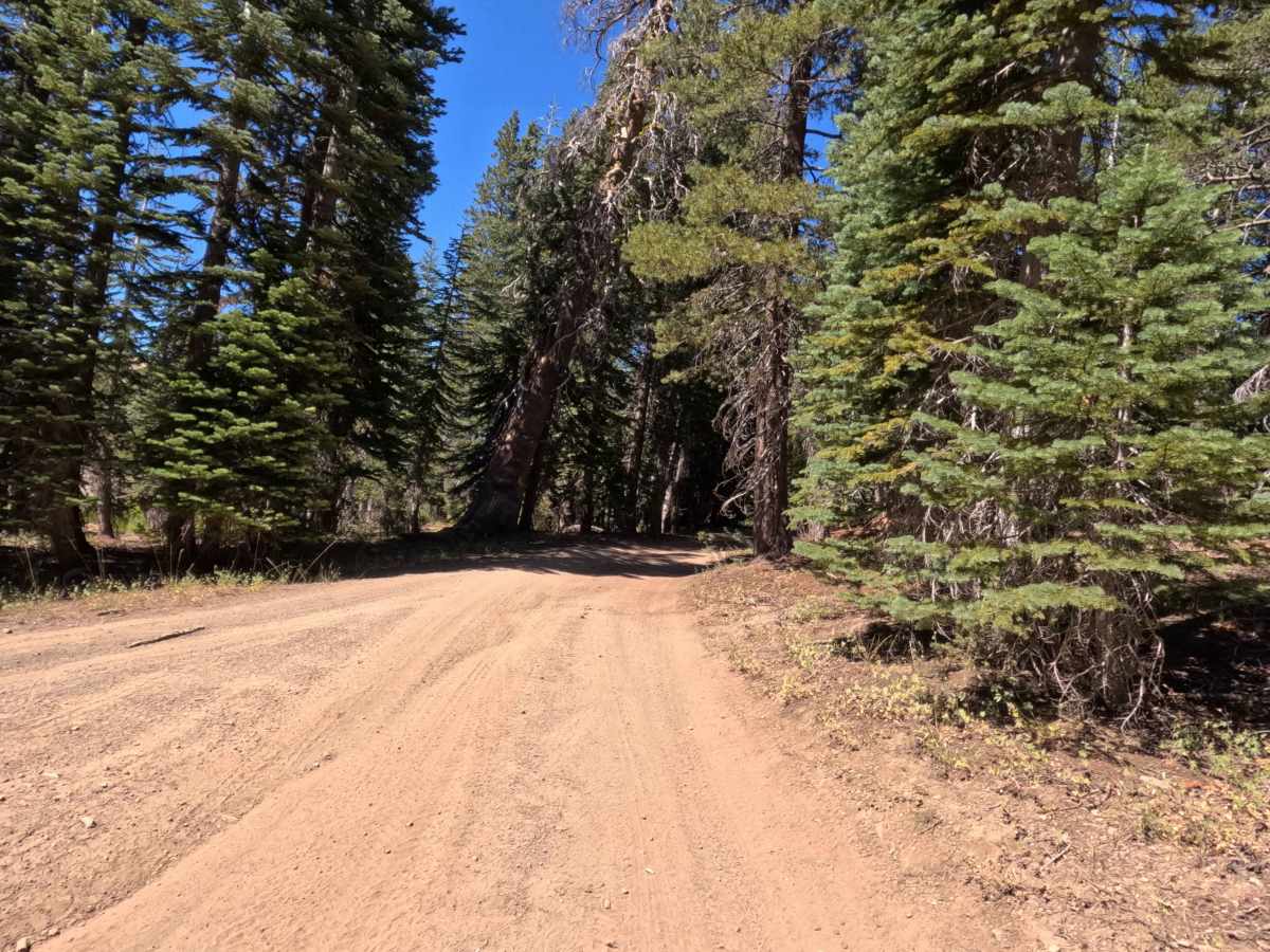 Tamarack Road - FS 31097 photo 5