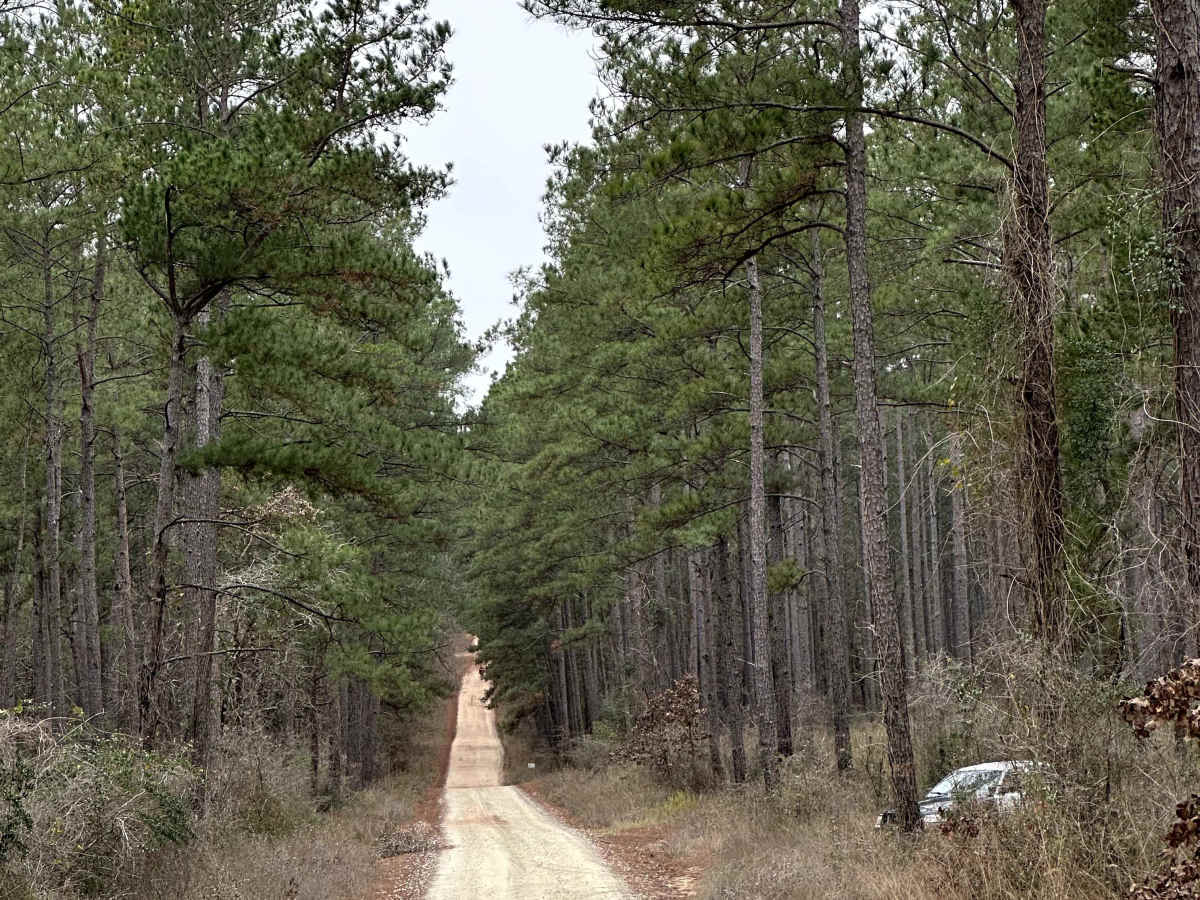 Kelly's Pond Road - FS 271 photo 2
