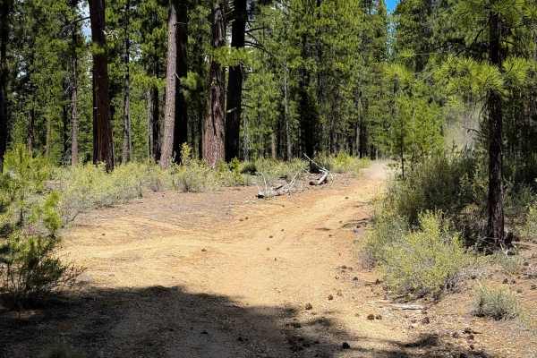 Trail 12 