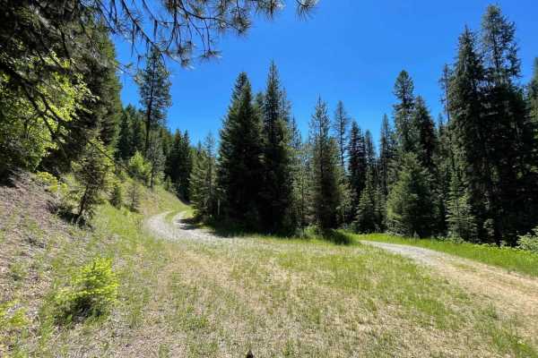 Wallace Spur