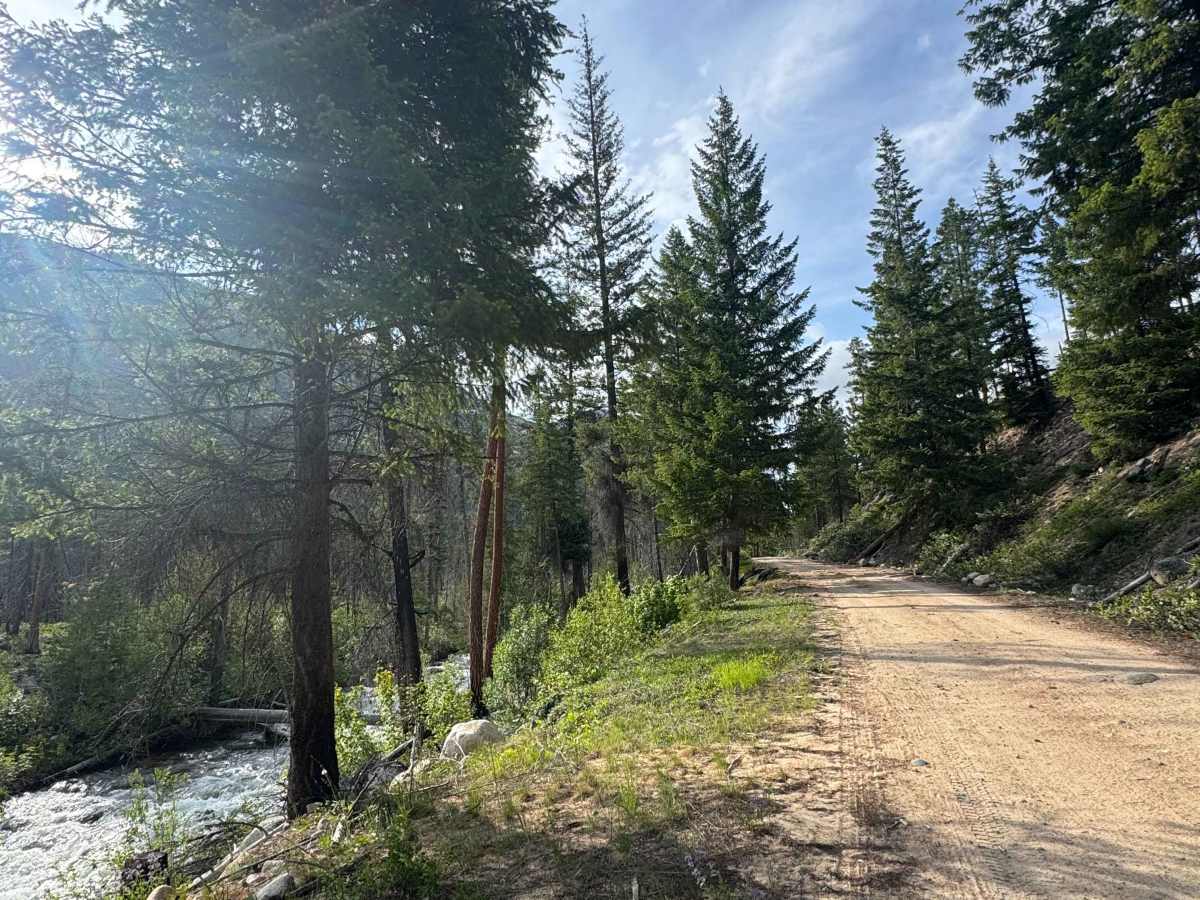 Lake Creek Road - FS 5160-100 photo 2