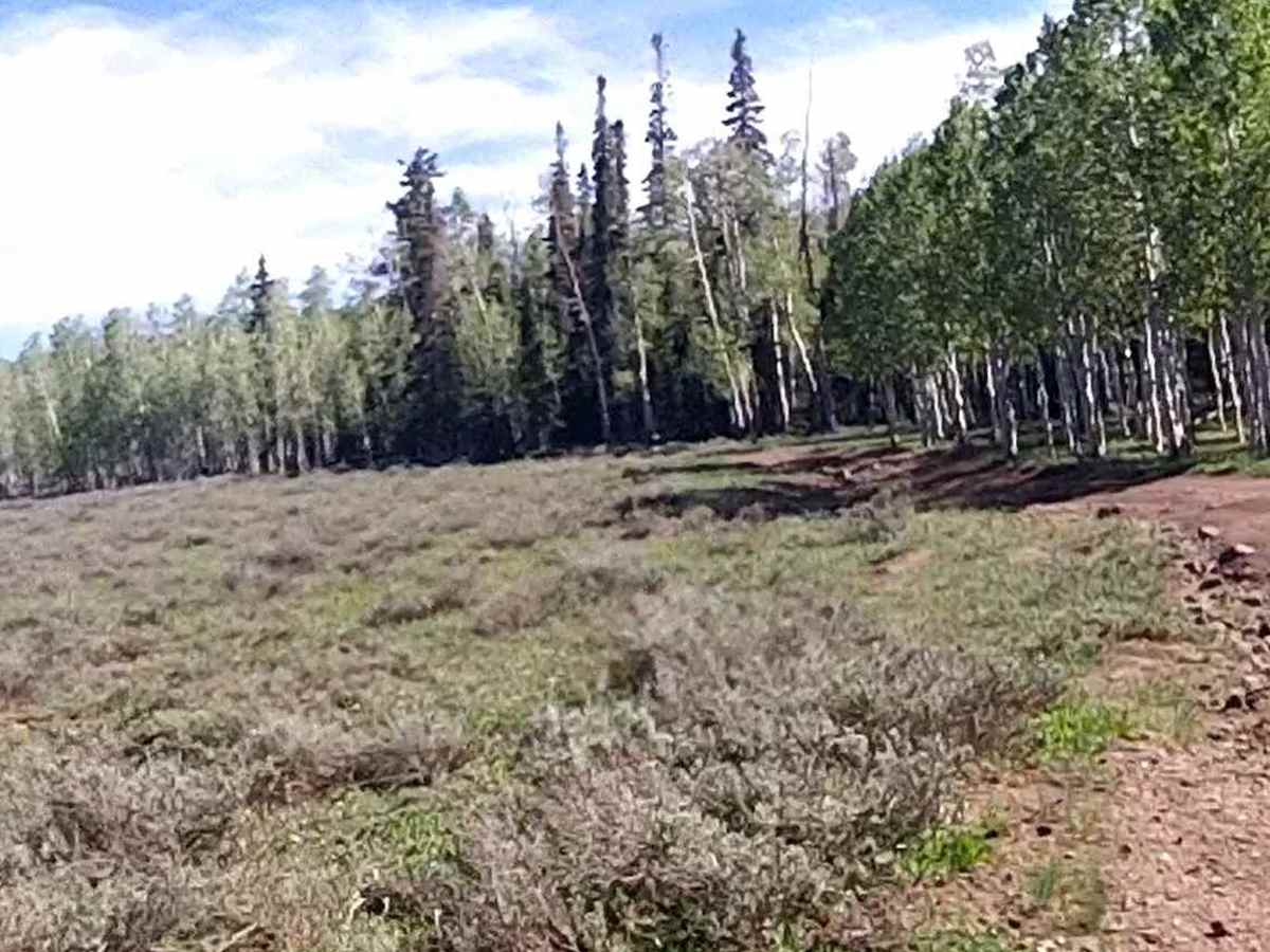 Tommy Creek Loop photo 3
