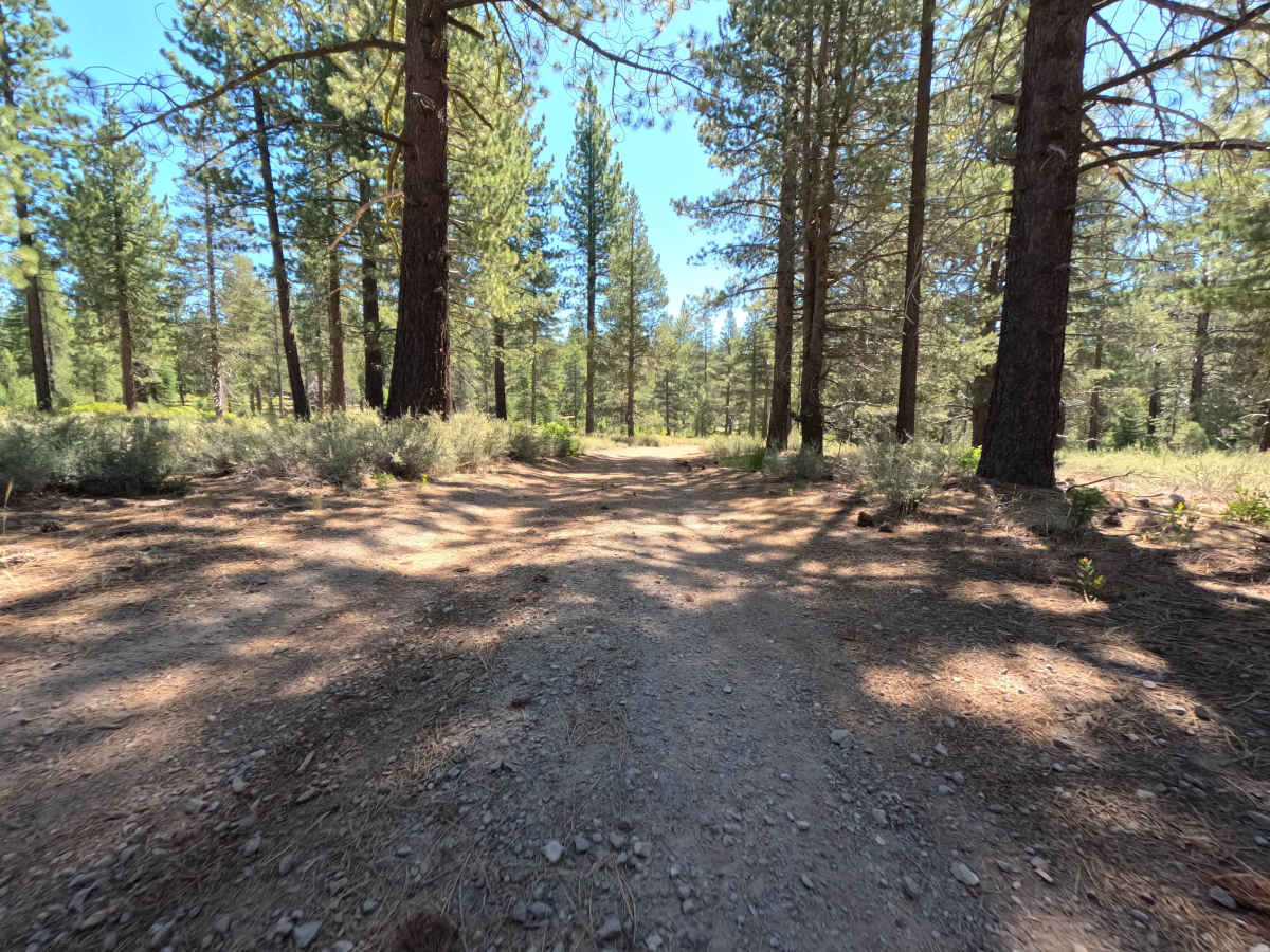 Bell - FS 6 trail photo