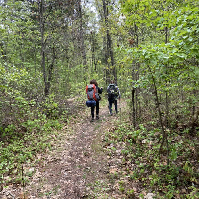 Near North-South Trail (North Section)