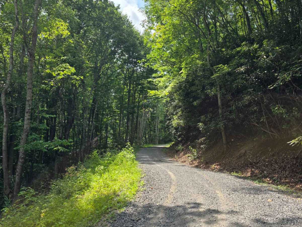 Middle Road photo 3