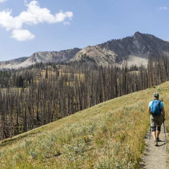 Near Baker Lake Hike