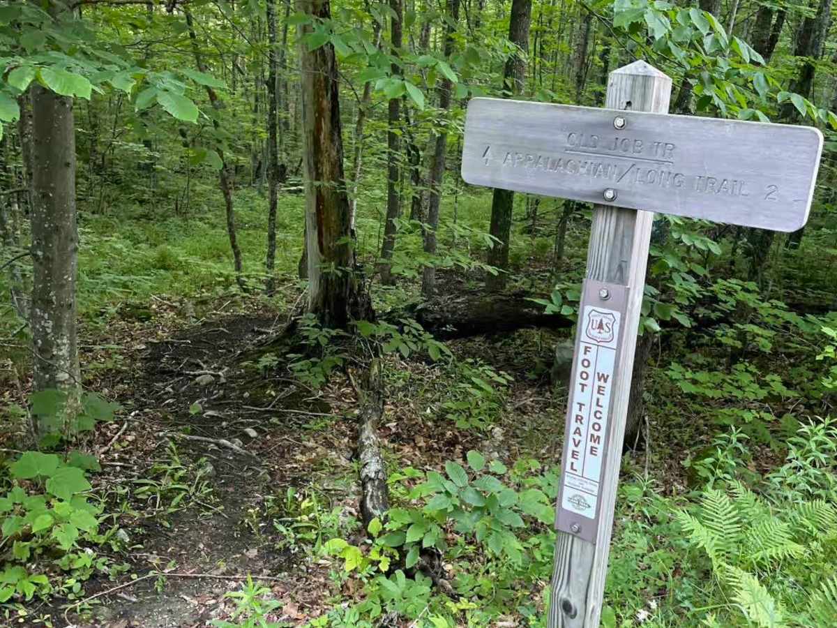 Old Job Rd Trail photo 3