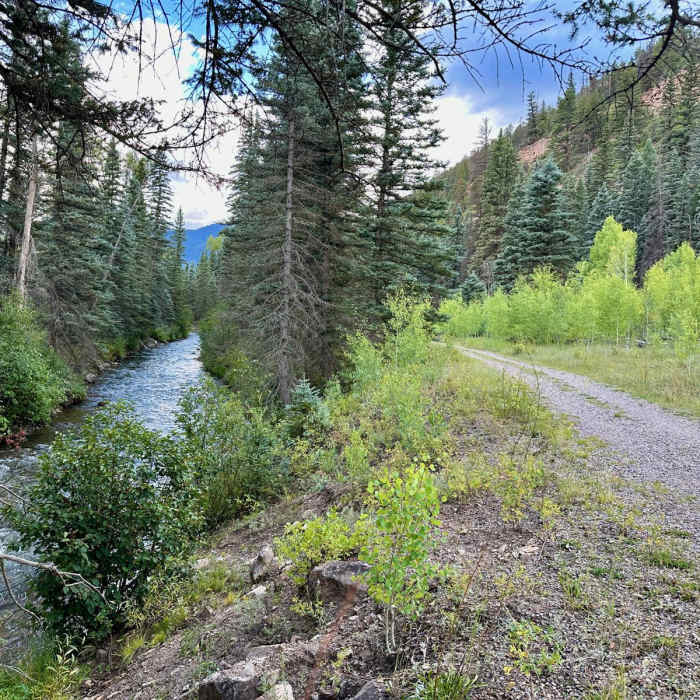 Near Galloping Goose Trail