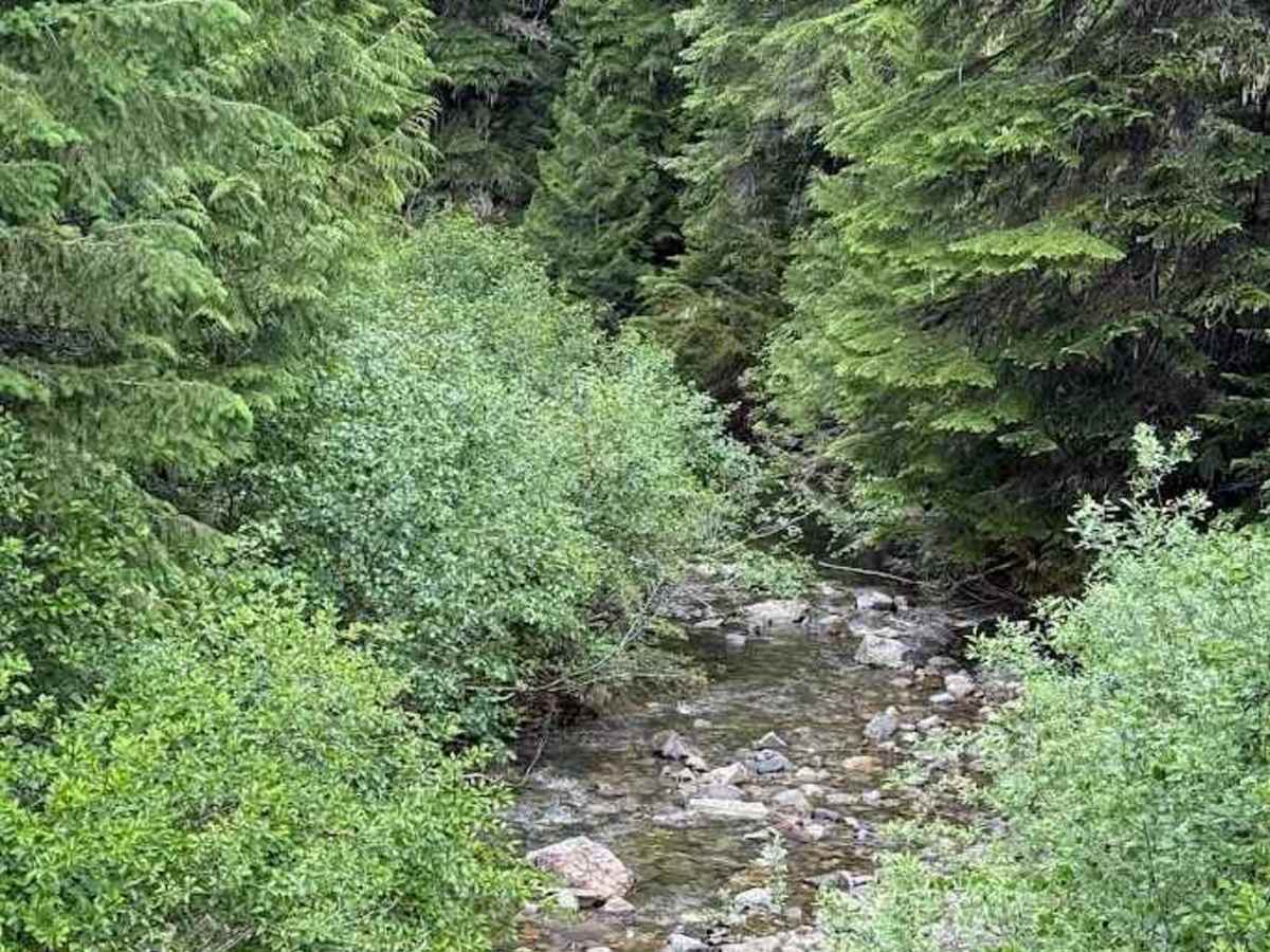 Log Creek - FS 4110 photo 4