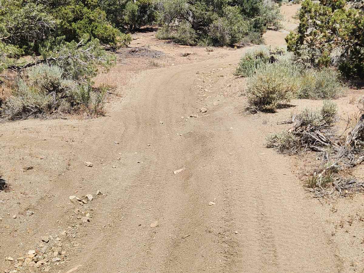 Fiddlers Green Trail photo 4