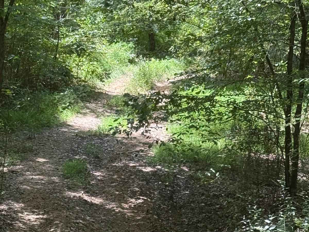 403 Mud trail photo