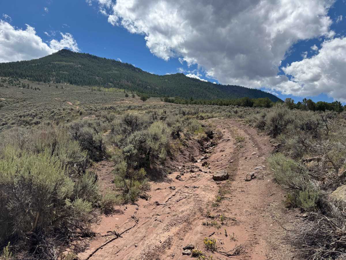 BLM 8634 photo 6