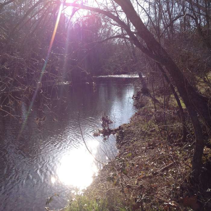 Near Bidwell Run Club- Wednesday Social Run