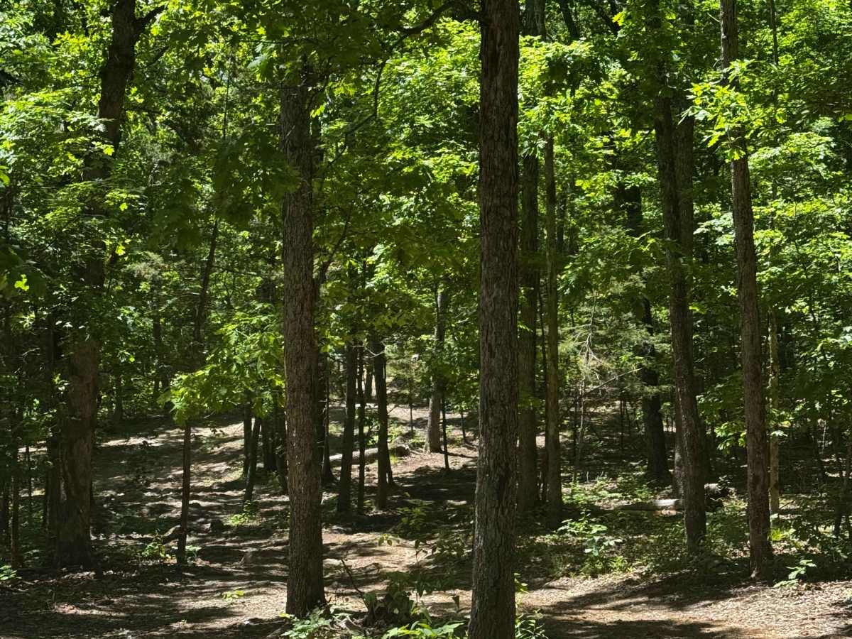 Inner Trail 42 photo 2