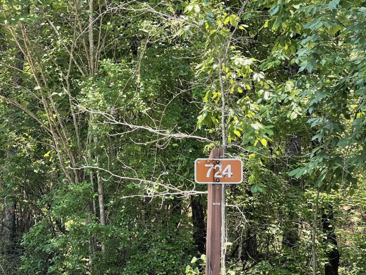 USFS #724 trail photo