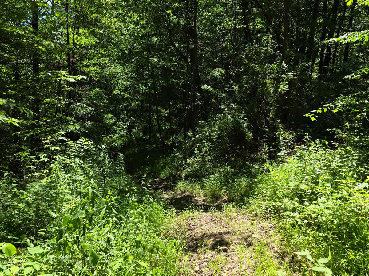 Single Track GG photo 6