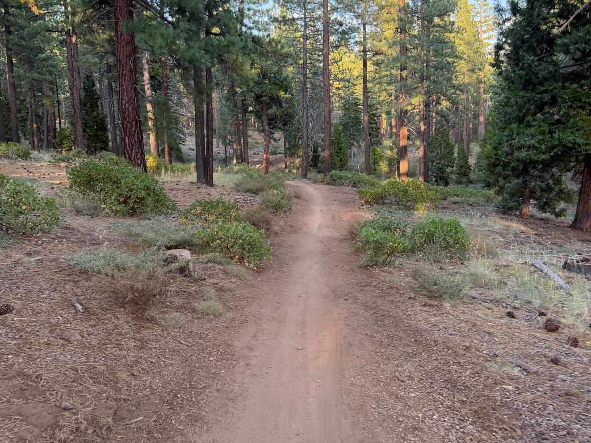 Beaver Tail Trail (Lower) photo 4