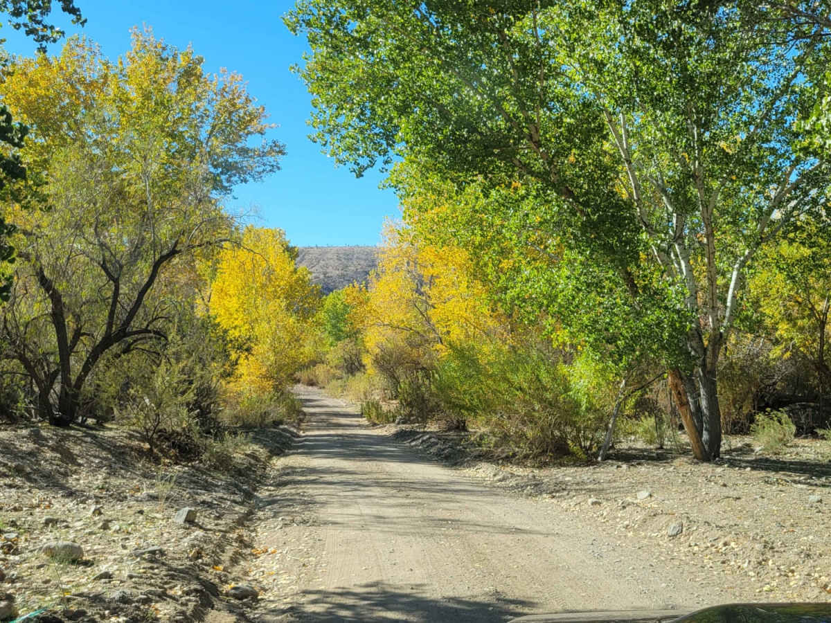 Snow Spring Road trail photo
