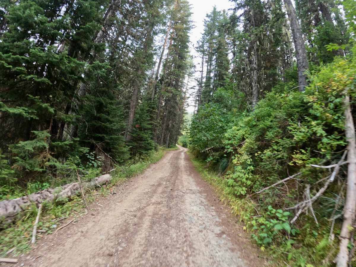 Thompson Falls and Rock Creek Trail - FS 352 / 378 photo 5