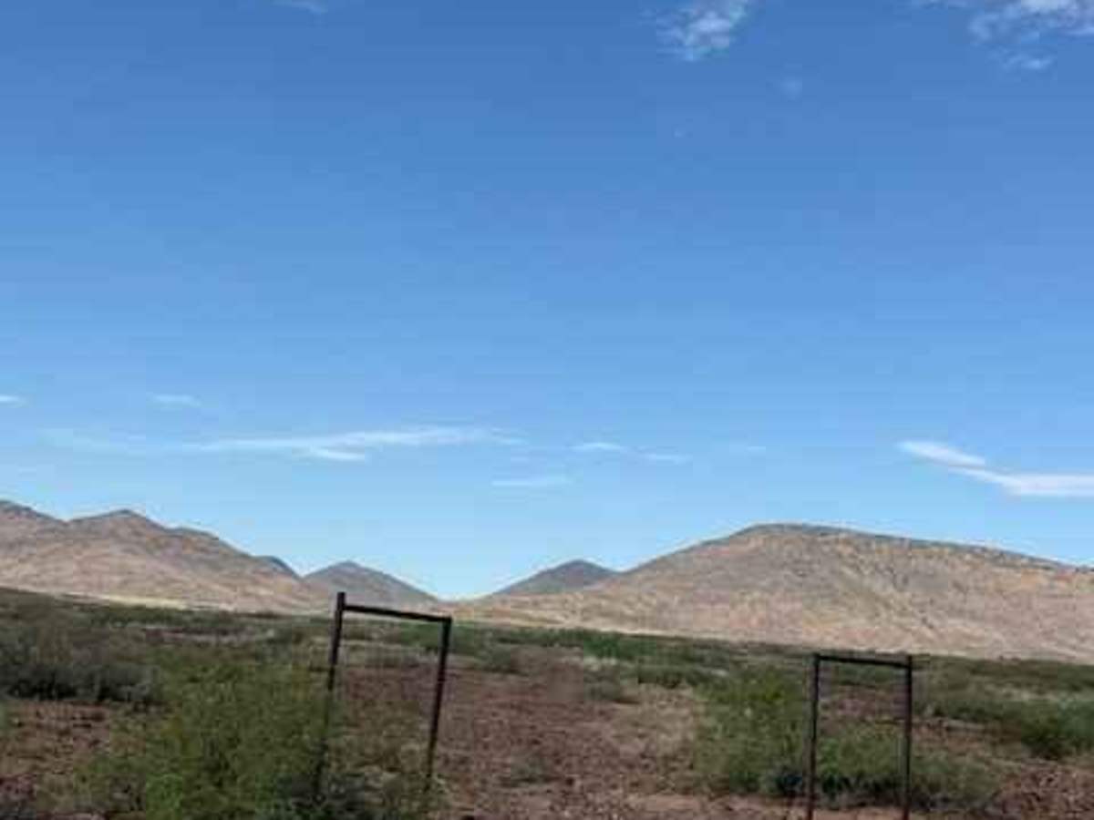 BLM SS1039 photo 5