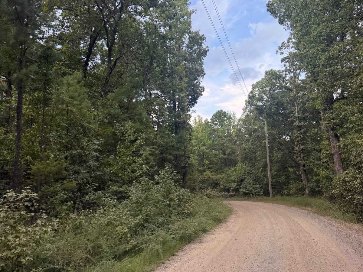 Blue Jay Hollow photo 6