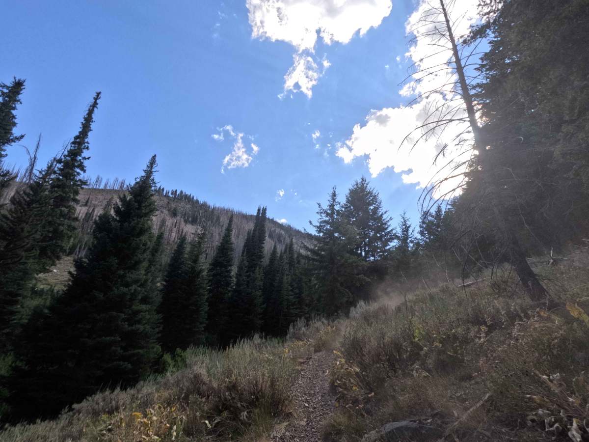 Placer Creek Trail - FS 7141 photo 3