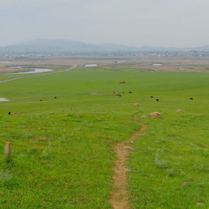 Near Suisun Hill Trail Hike
