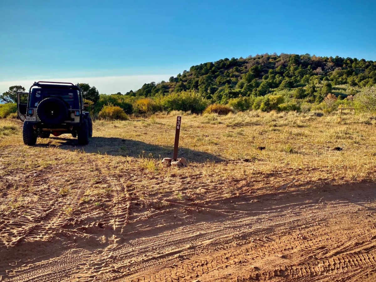 Loop Road Trail FR Rd 636 photo 6