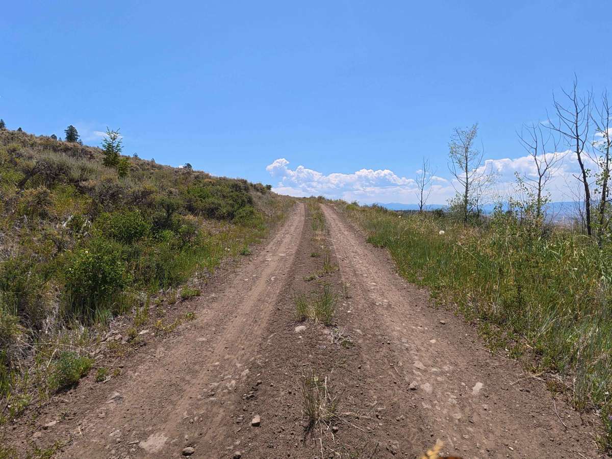 Fox Loop - BLM 2758 photo 2