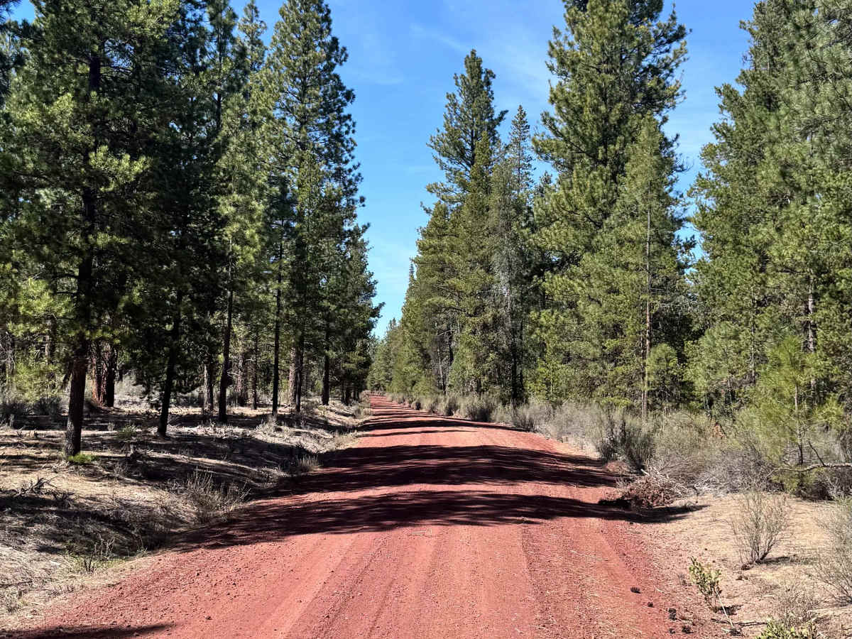 Soloman - FS 4502 trail photo