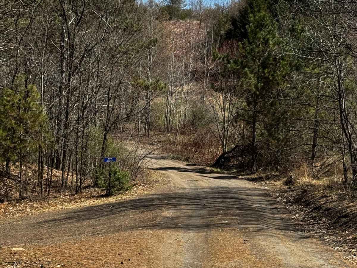 Logway Run Trail Spur trail photo