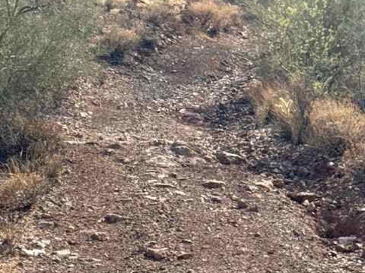 BLM 38070 photo 6