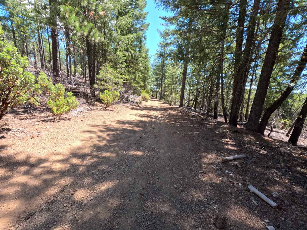 Miner - FS 17N62 trail photo