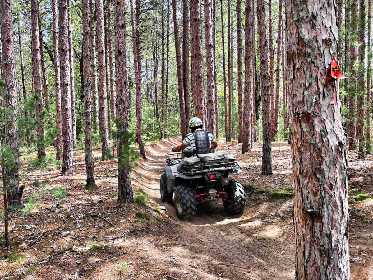 Cedar Creek Motorsport Trail (South Loop) photo 5
