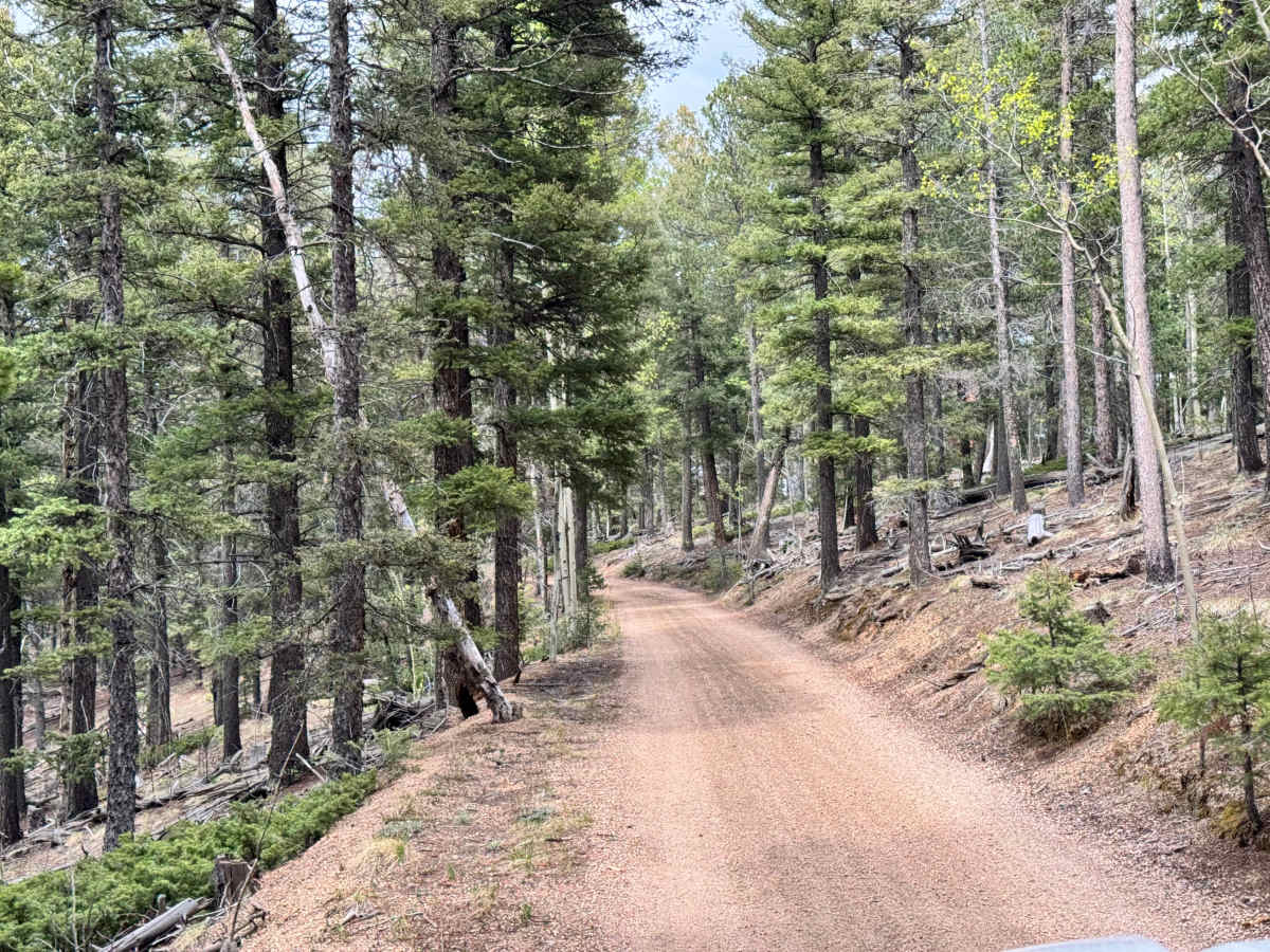 County Line Rd (FS324B) photo 6