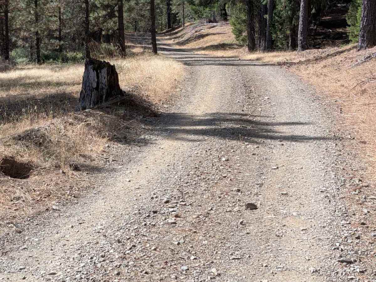Friend Mountain Road - FS 2N15 photo 2