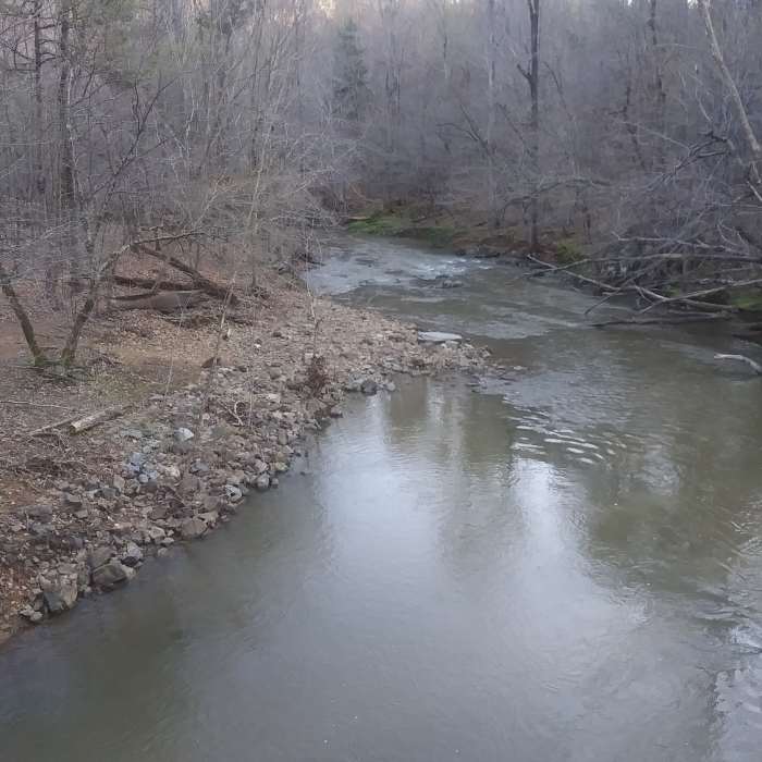 Near Duke Korstian Loop