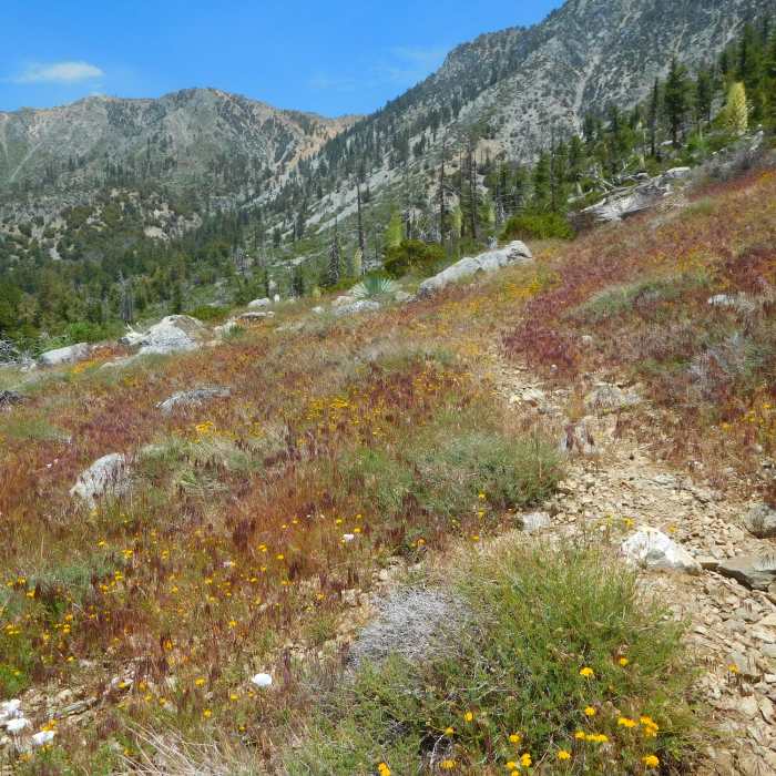 Near Tototngna Nature Trail #9W31