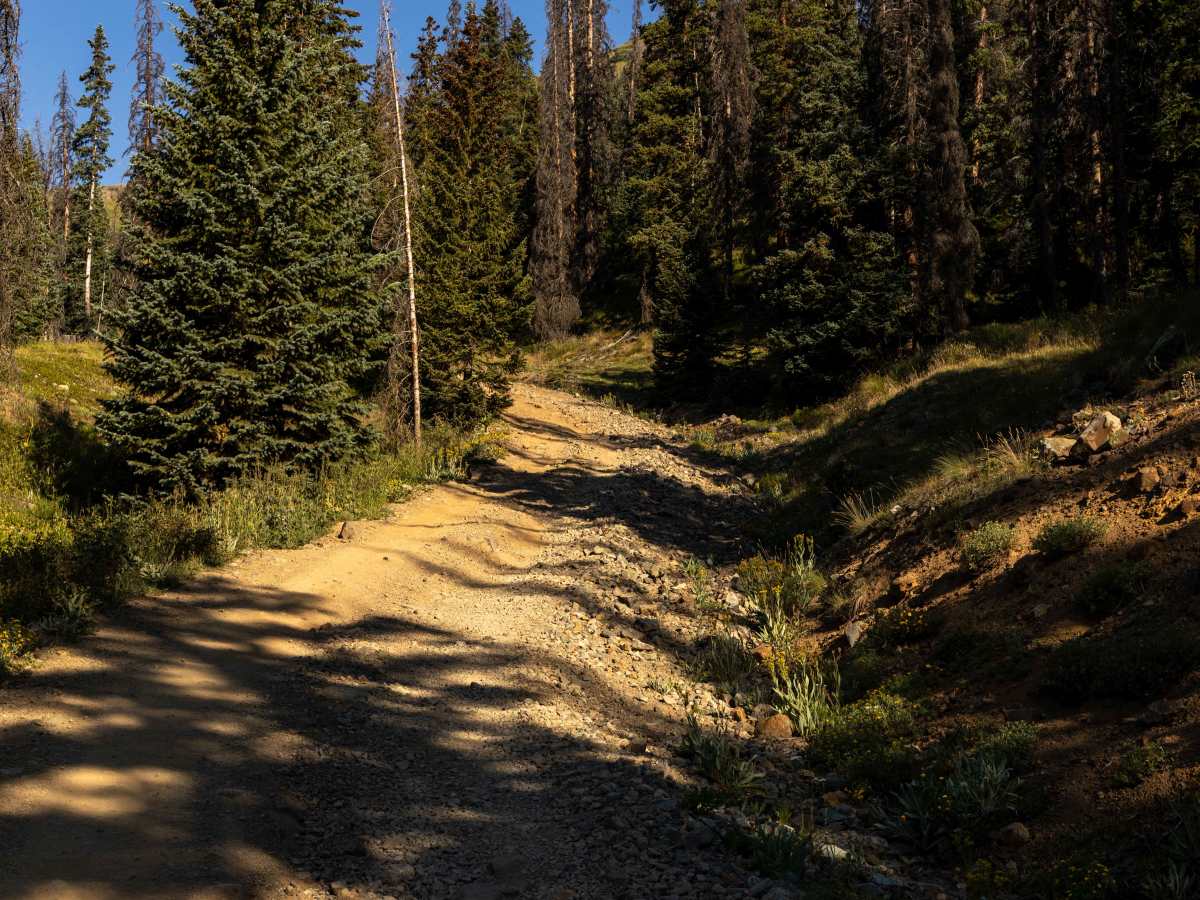 Placer and Picayne Gulch photo 4