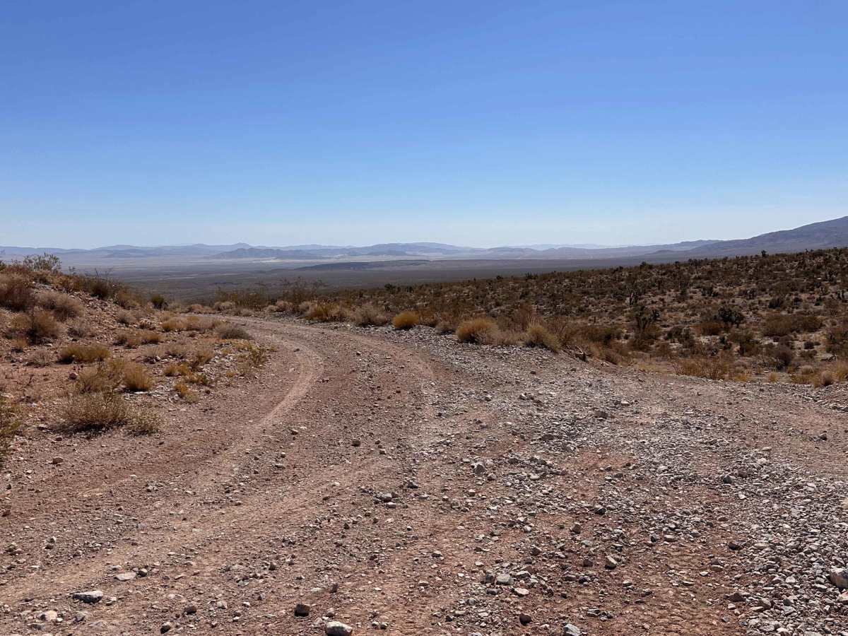 Desert Bloom Loop photo 2