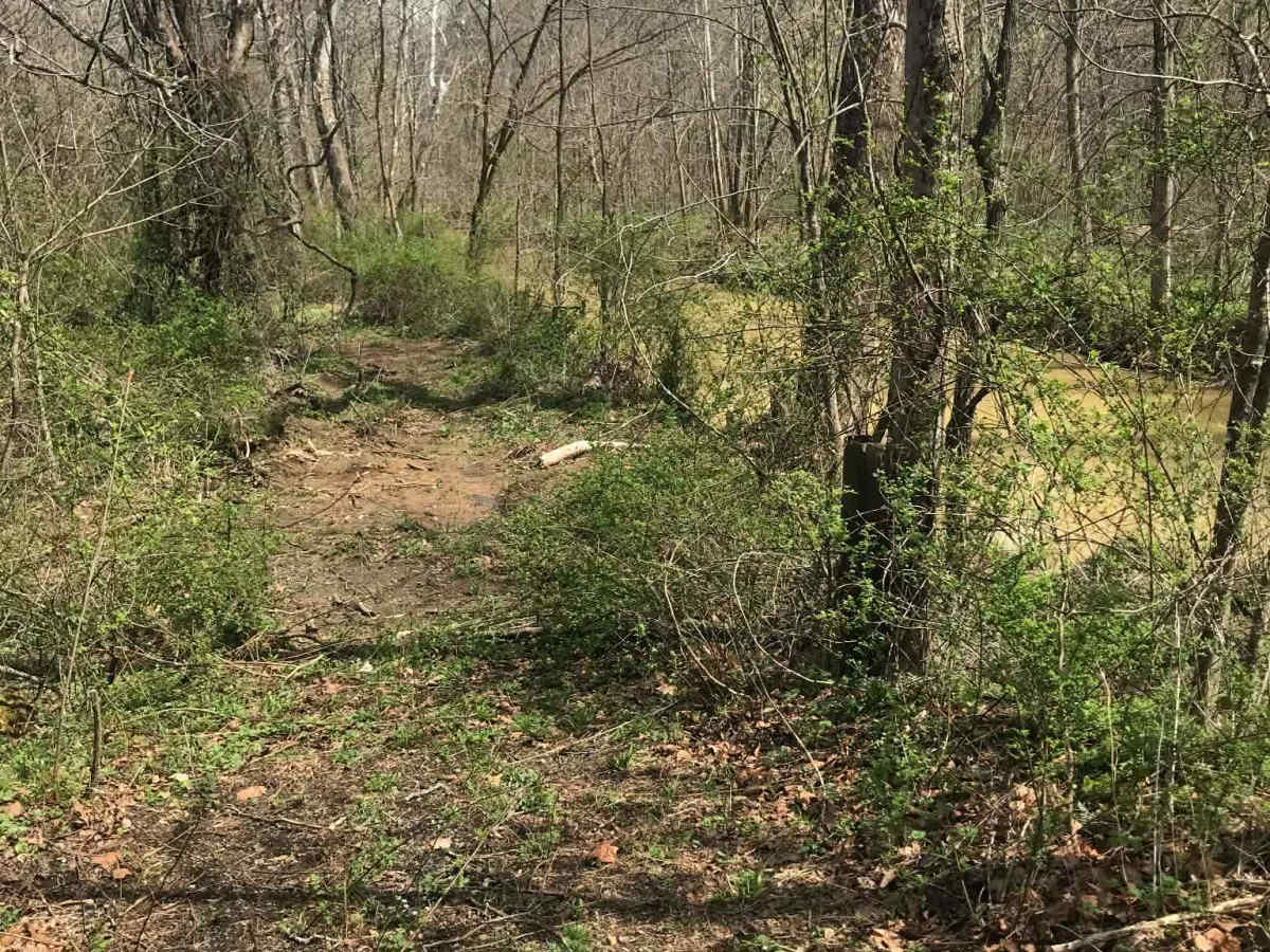 Township 283 photo 3