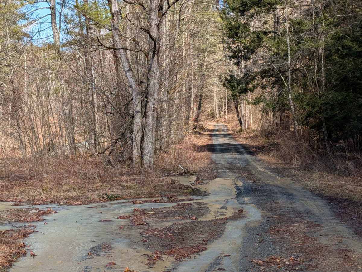 Stone Jug Road trail photo